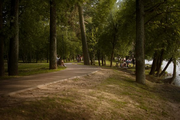 Soulagez votre mal au genou avec une genouillère de qualité